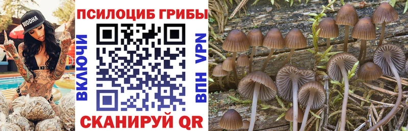Псилоцибиновые грибы прущие грибы  что такое наркотик  Кимовск 